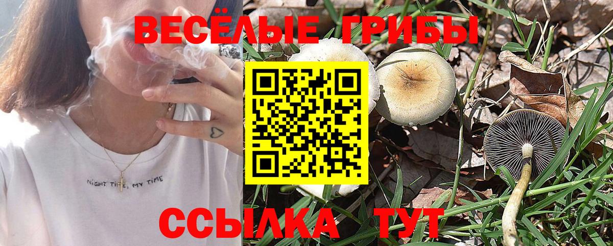 Псилоцибиновые грибы прущие грибы Иваново