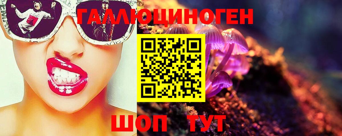 купить закладку  Галлюциногенные грибы прущие грибы  Иваново  Вход с VPN  Псилоцибиновые грибы Psilocybine cubensis 